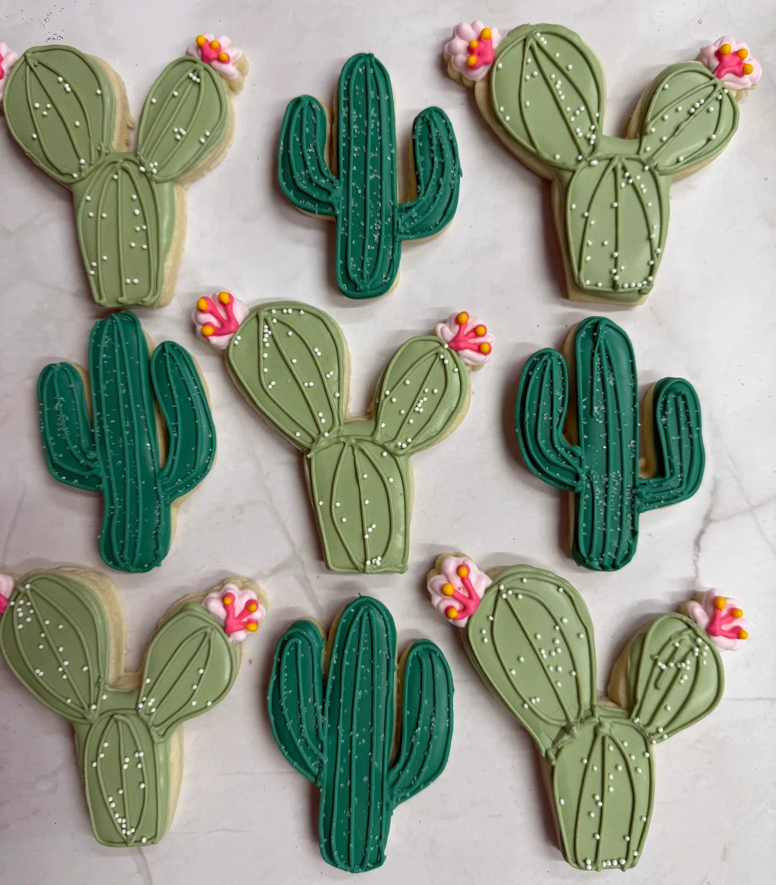 Desert cactus set — bridal & celebration